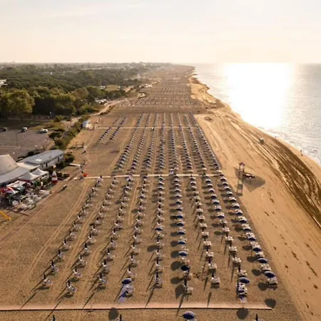 Bright Flat Close To The *