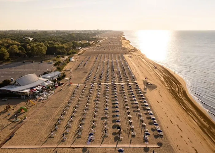 Bright Flat Close To The *