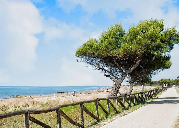 Апартаменти Bright Flat Close To The *